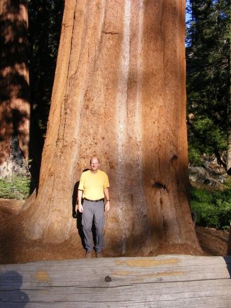 In front of a Giant Sequoia.jpg